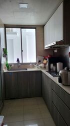 The Lakeshore (D22), Condominium #424597421